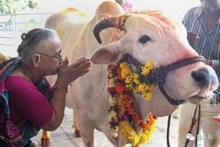 国产牛牛在线,创新游戏体验，引领休闲娱乐新潮流